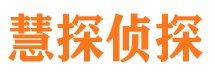 江城侦探公司